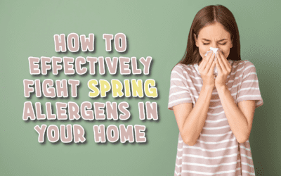 How to Effectively Fight Spring Allergens in Your Home